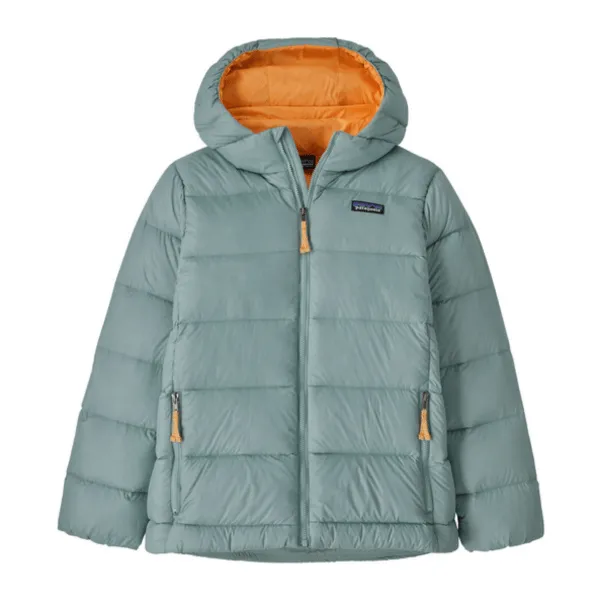 Fall 2024 Patagonia Kid's Hi-Loft Down Sweater Hoody